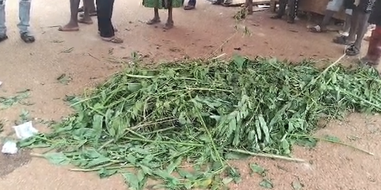 Western North Police Interdict Eight Officers Over Fatal Shooting at Sefwi Sayerano