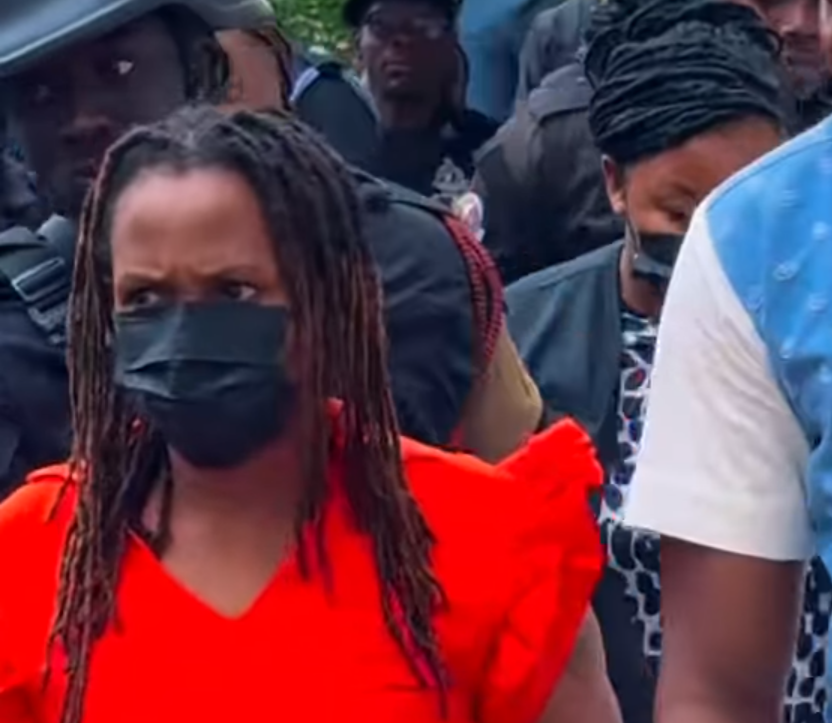 TikToker Camilla Alhassan Sentenced to One Year in Prison for Offensive Conduct and False News