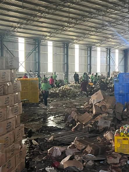 Three Dreamers Manufacturing CEO Laments Looting of Flood-Damaged Goods at Spintex Warehouse